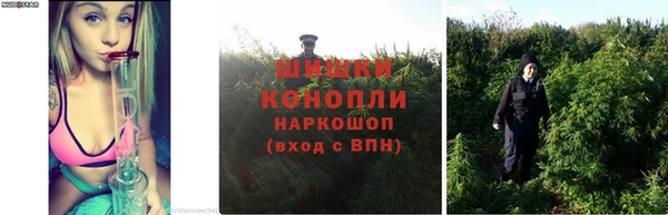 ECSTASY Осинники