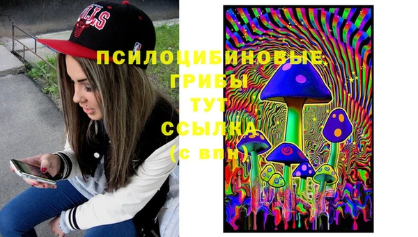 соль курить ск Нязепетровск