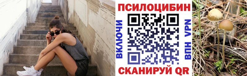 blacksprut зеркало где найти наркотики Когалым Псилоцибиновые грибы прущие грибы