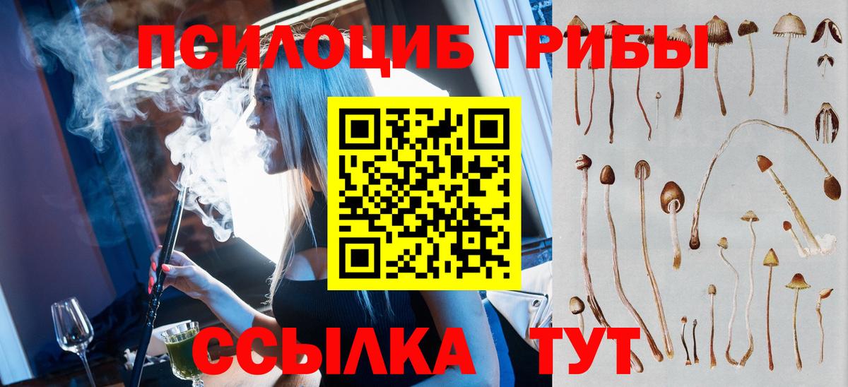 Псилоцибиновые грибы MAGIC MUSHROOMS  Вход с VPN  Когалым 