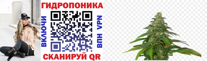 Бошки марихуана ГИДРОПОН  Когалым 